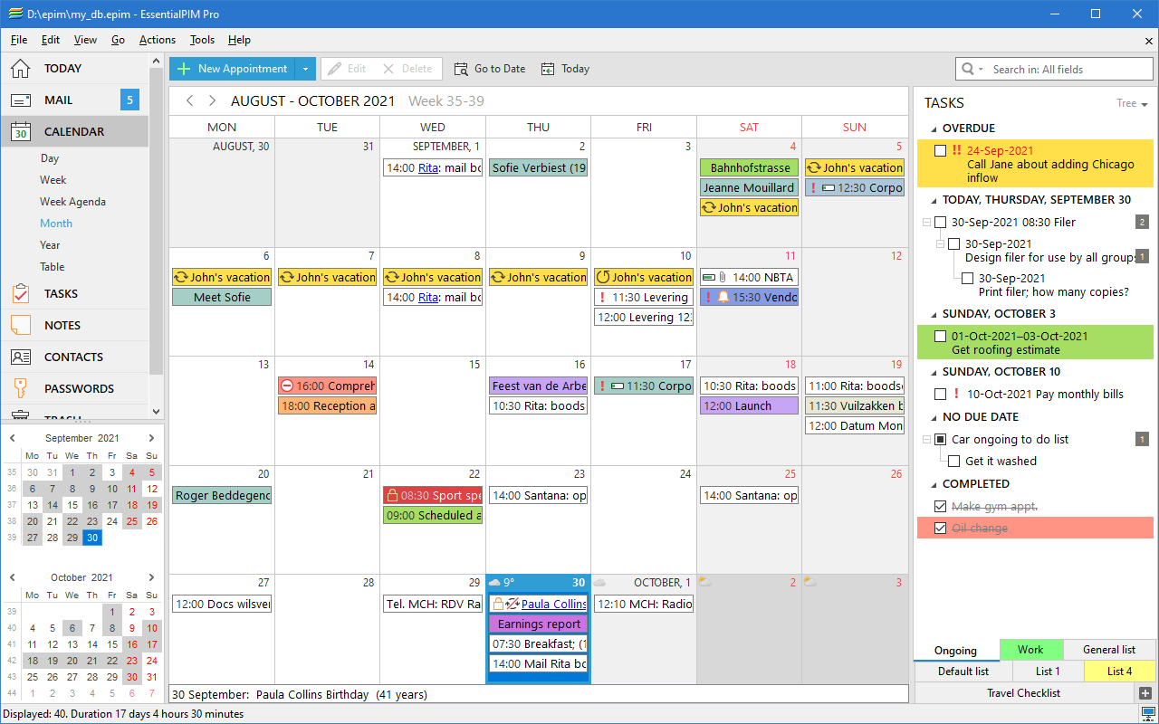 EssentialPIM Calendar. Month View. Calendar Month View